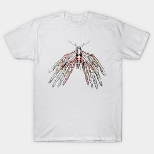 Moth T-Shirt